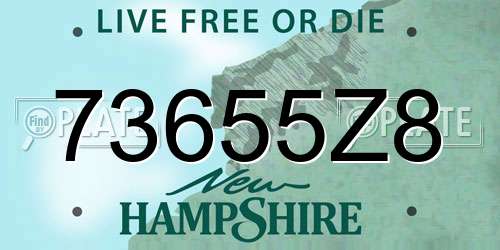 73655Z8 New Hampshire License Plate