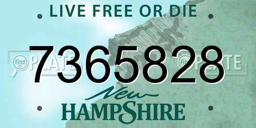 7365828 New Hampshire License Plate