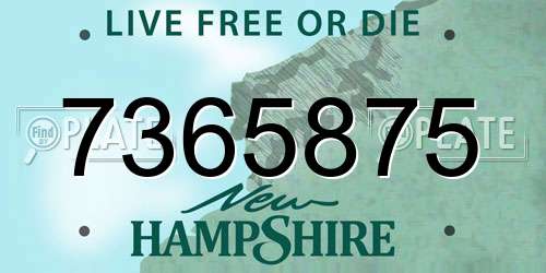 7365875 New Hampshire License Plate
