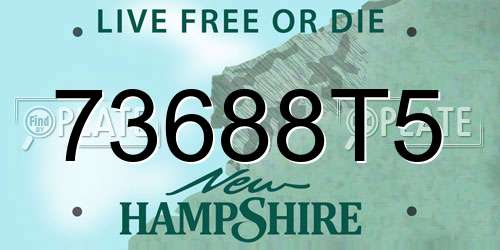 73688T5 New Hampshire License Plate