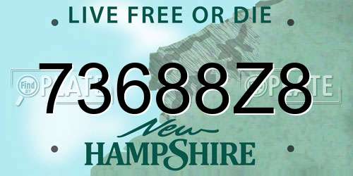 73688Z8 New Hampshire License Plate