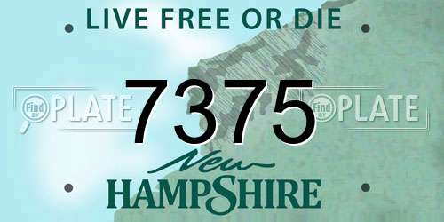 7375 New Hampshire License Plate