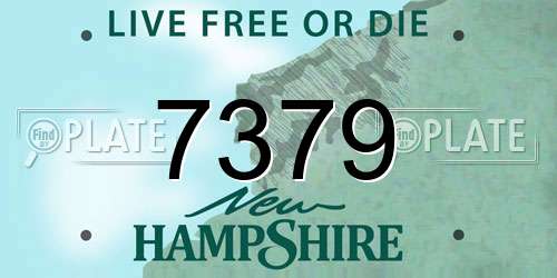 7379 New Hampshire License Plate