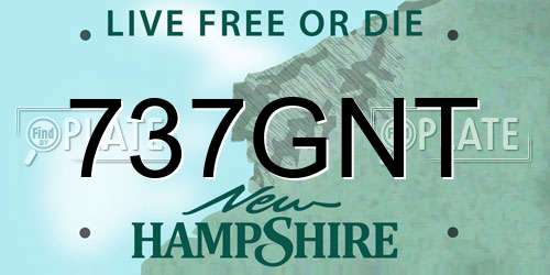 737GNT New Hampshire License Plate