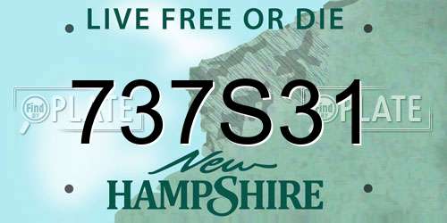 737S31 New Hampshire License Plate