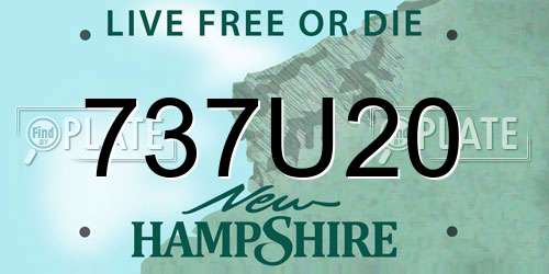 737U20 New Hampshire License Plate