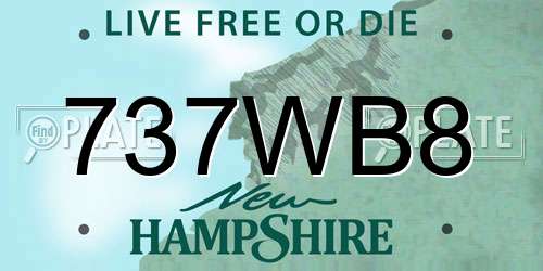 737WB8 New Hampshire License Plate