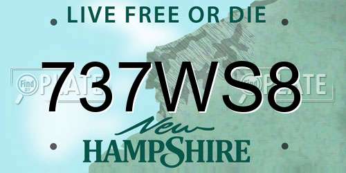 737WS8 New Hampshire License Plate