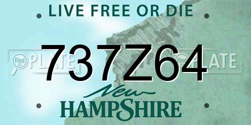 737Z64 New Hampshire License Plate