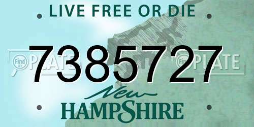 7385727 New Hampshire License Plate