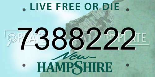 7388222 New Hampshire License Plate
