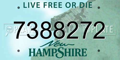 7388272 New Hampshire License Plate