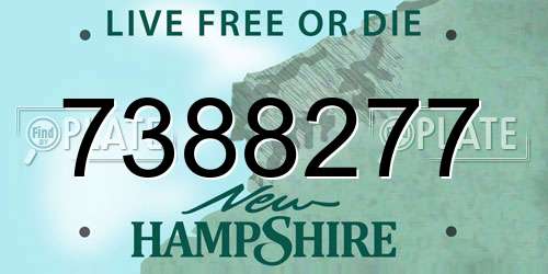 7388277 New Hampshire License Plate