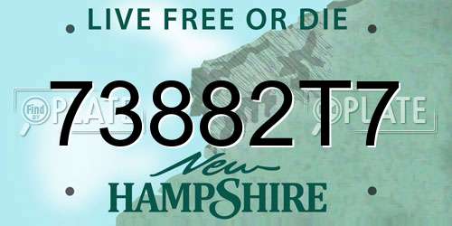 73882T7 New Hampshire License Plate