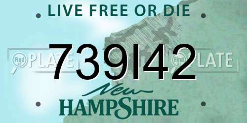 739I42 New Hampshire License Plate