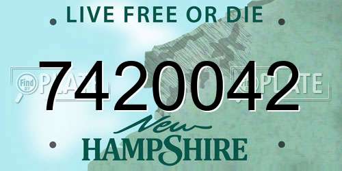 7420042 New Hampshire License Plate