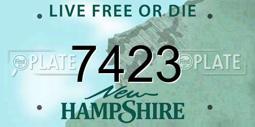7423 New Hampshire License Plate