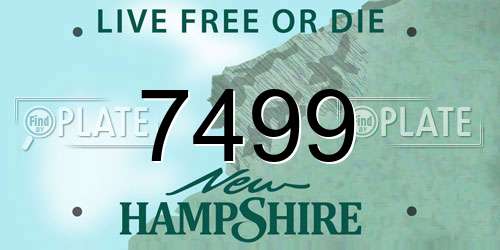 7499 New Hampshire License Plate
