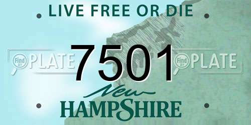 7501 New Hampshire License Plate