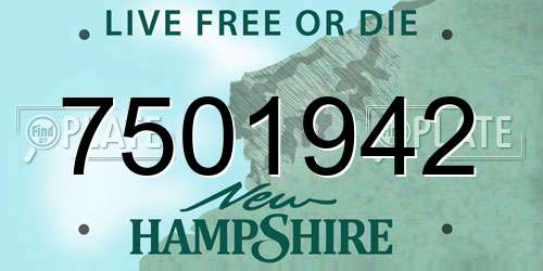 7501942 New Hampshire License Plate