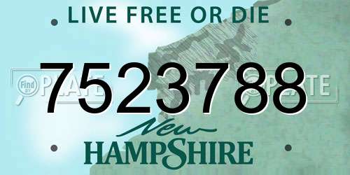 7523788 New Hampshire License Plate