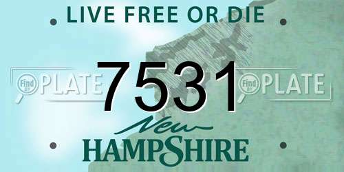 7531 New Hampshire License Plate