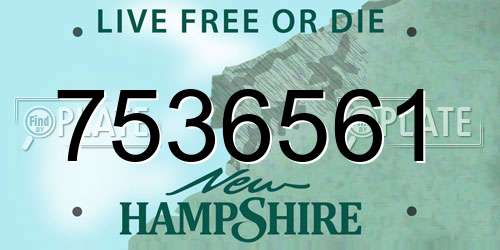 7536561 New Hampshire License Plate