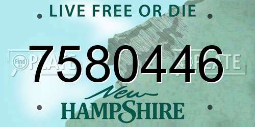 7580446 New Hampshire License Plate