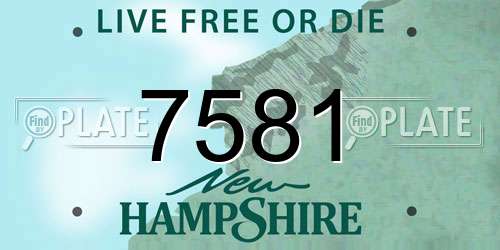 7581 New Hampshire License Plate