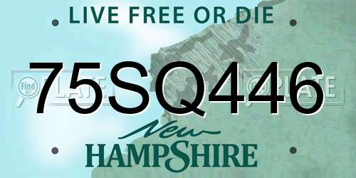 75SQ446 New Hampshire License Plate