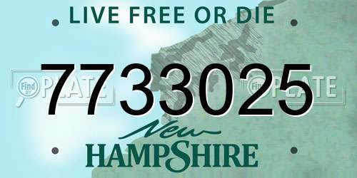 7733025 New Hampshire License Plate