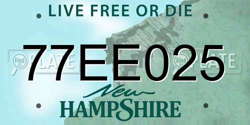 77EE025 New Hampshire License Plate