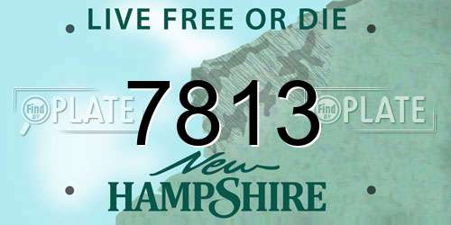 7813 New Hampshire License Plate