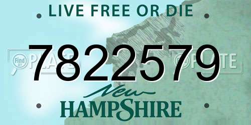 7822579 New Hampshire License Plate