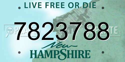 7823788 New Hampshire License Plate