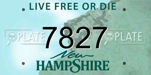 7827 New Hampshire License Plate
