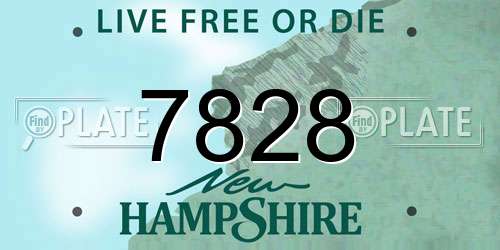 7828 New Hampshire License Plate