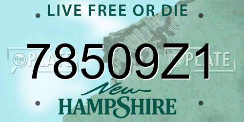 78509Z1 New Hampshire License Plate