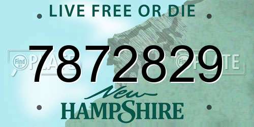 7872829 New Hampshire License Plate