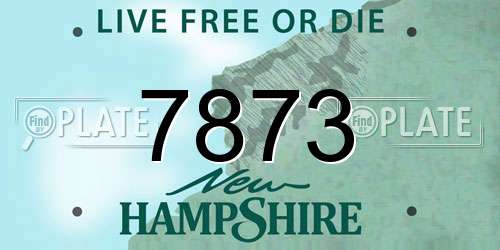7873 New Hampshire License Plate