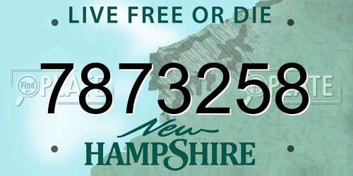 7873258 New Hampshire License Plate