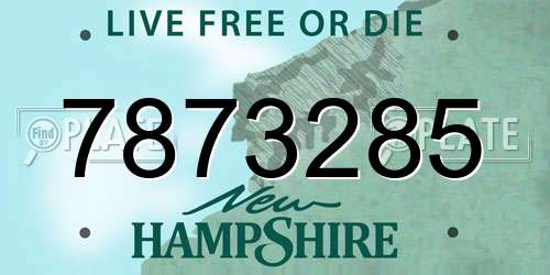 7873285 New Hampshire License Plate