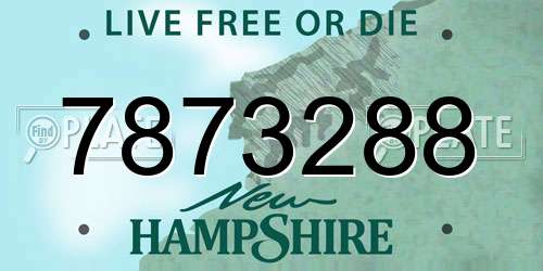 7873288 New Hampshire License Plate