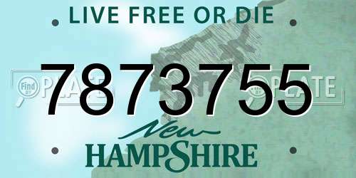 7873755 New Hampshire License Plate