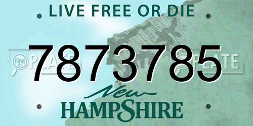 7873785 New Hampshire License Plate