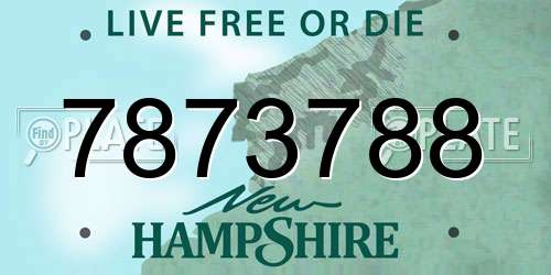 7873788 New Hampshire License Plate