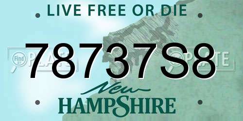 78737S8 New Hampshire License Plate