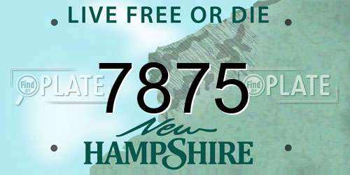 7875 New Hampshire License Plate