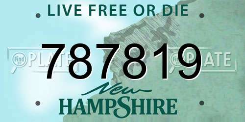 787819 New Hampshire License Plate