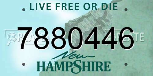 7880446 New Hampshire License Plate